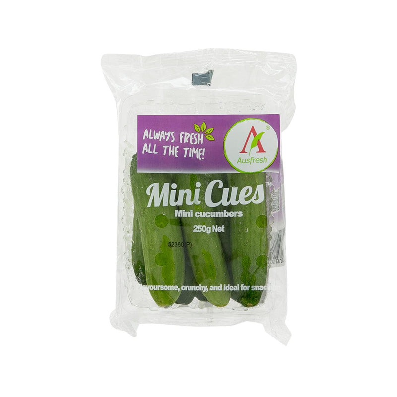 Australian Mini Cucumber  (1pc)