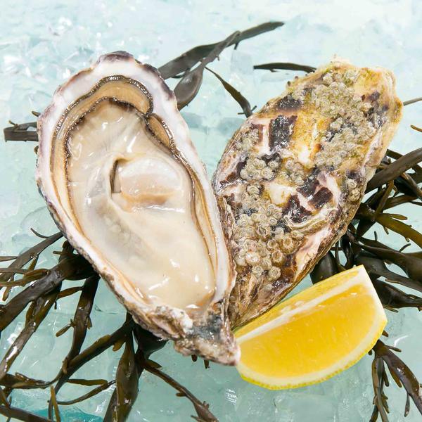 GILLARDEAU French Gillardeau Oyster Nr.0  (1pack)