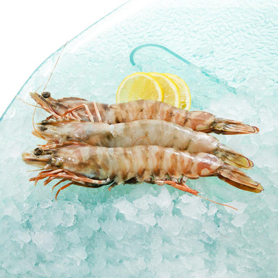 Seafood Hong Kong E-shop Selection - SKULL ISLAND Australian Skull Island Frozen Wild Caught Tiger Prawn (450g)