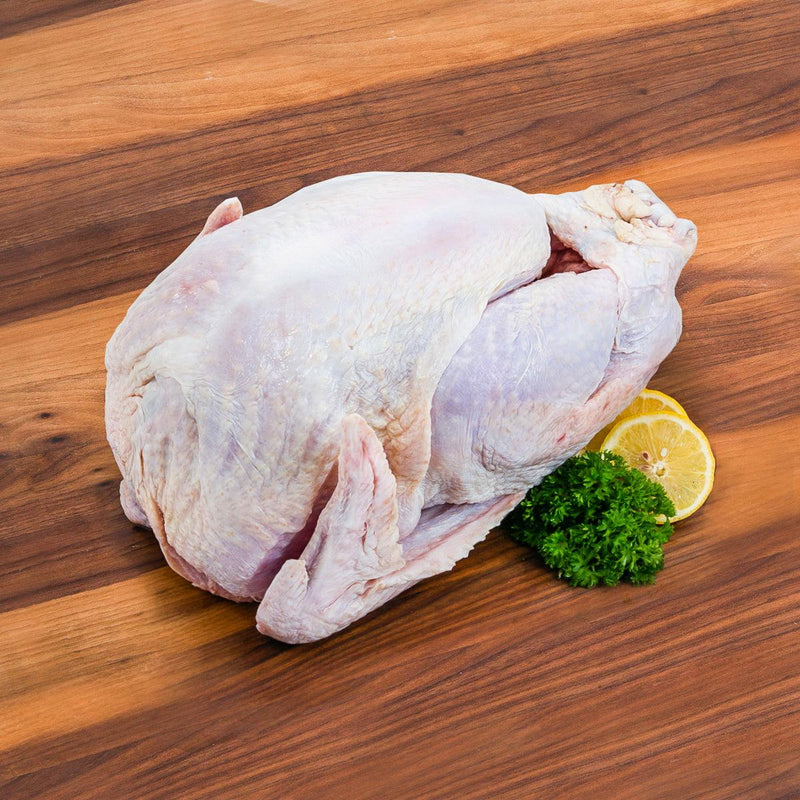 DAYLESFORD ORGANIC UK Chilled Organic Turkey Bronze (1pc)