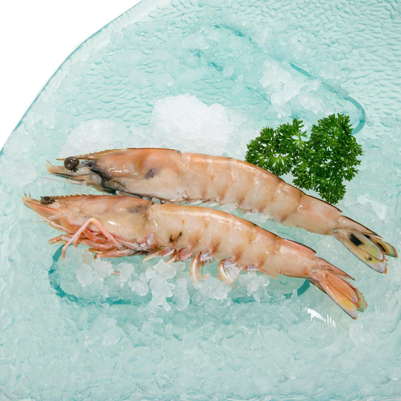 OCEAN KING PRAWN Australian Frozen King Prawn  (300g)