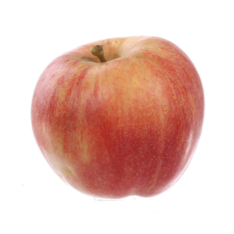 French Gala Apple  (1pc)