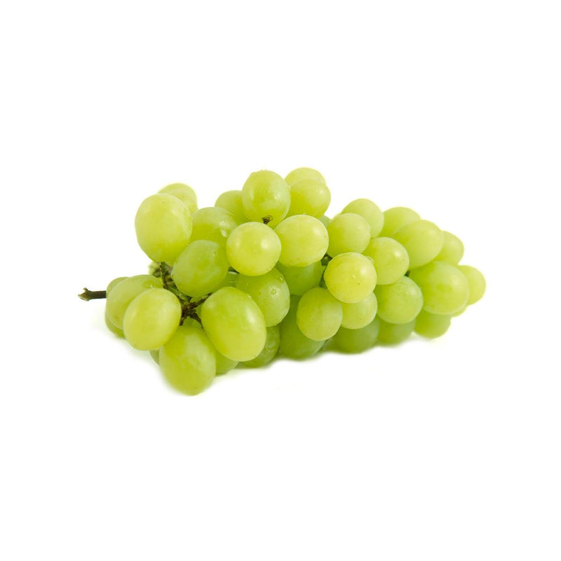 USA Green Seedless Grape - Sweet Globe Pack  (1pack)