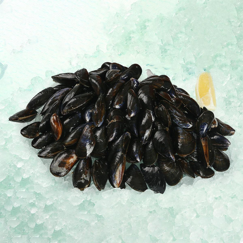 LA CANCALAISE French Mont Saint Michel Bay PDO Live Blue Mussel  (1kg)