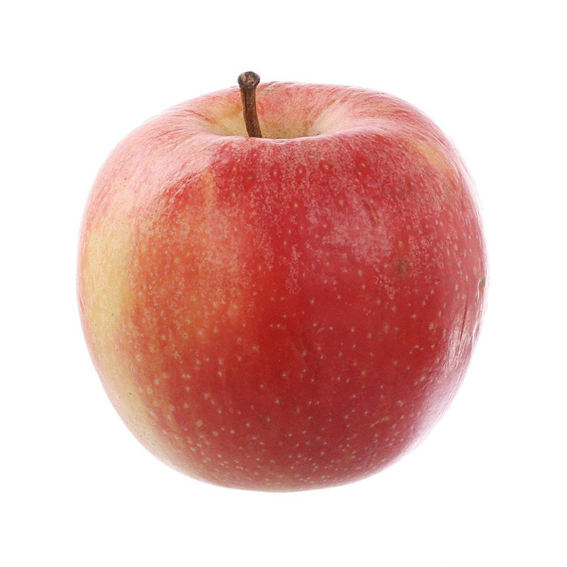 Italian Organic Gala Apple  (1pc)