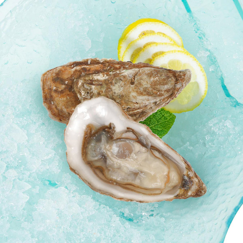 TIA MARAA French Tia Maraa Oyster Nr.1 [O.bar]  (1pc)