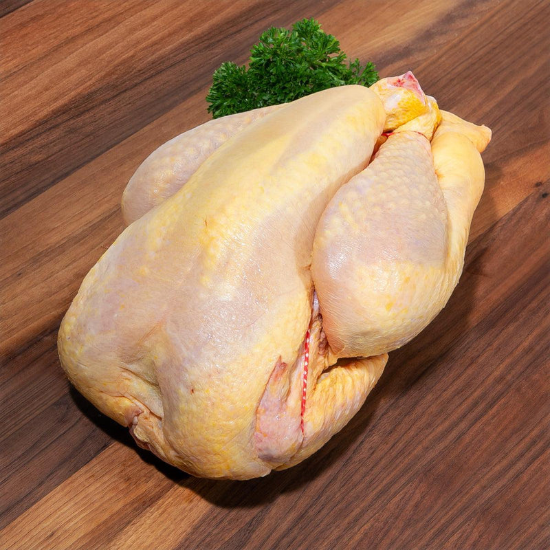 RANGER GOLD Swedish Frozen Premium Ranger Gold Yellow Whole Chicken  (1pack)