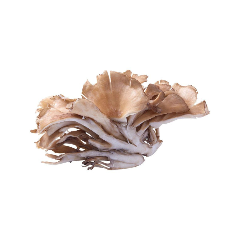 Japanese Maitake Mushroom (S)  (70g)