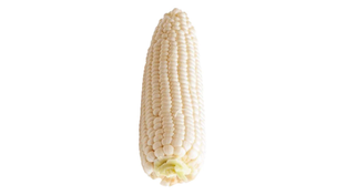 Chinese Milk-Popped Sweet Corn  (1pc)