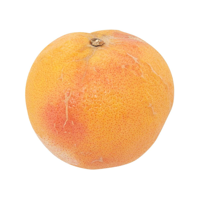 Japanese Champagne Ruby Grapefruit  (1pc)