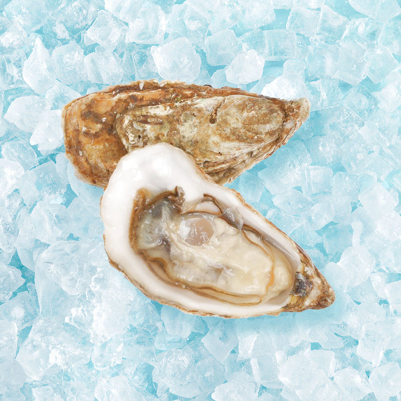 TIA MARAA French Tia Maraa Oyster Nr.1 [O.bar]  (1pc)