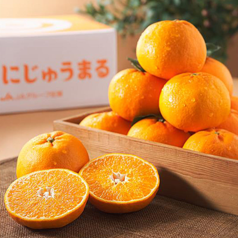 Japan Saga Nijumaru Mikan Gift Box  (1box)