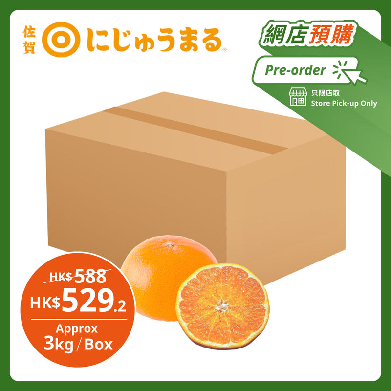 Japan Saga Nijumaru Mikan Gift Box  (1box)