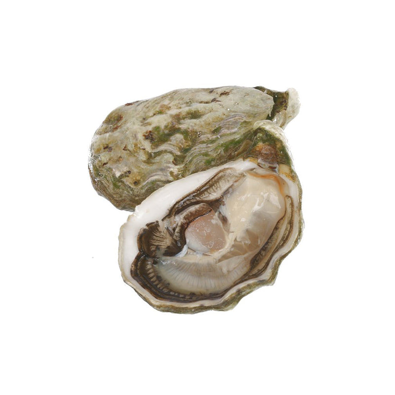 JOSEPHINE French Josephine Oyster Nr.1 [O.bar]  (1pc)