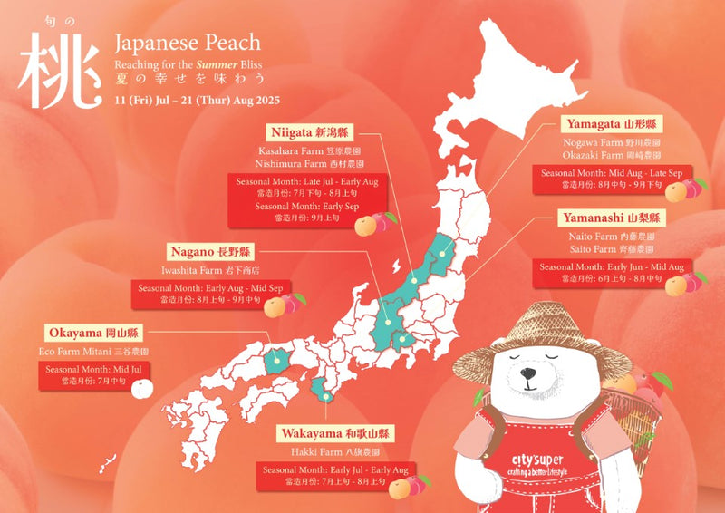 Japan Yamanashi Peach 15-16&