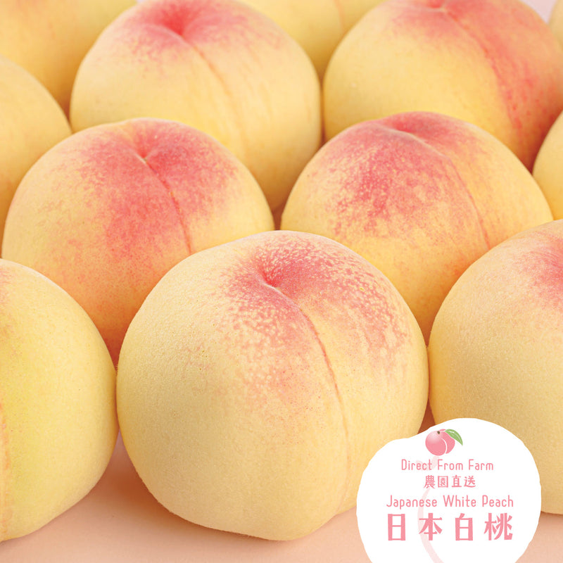 Japan Okayama White Peach 13-14&