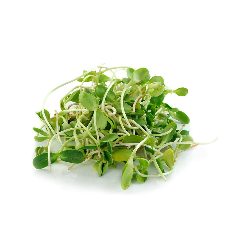 Local Organic Pea Sprouts  (600g)