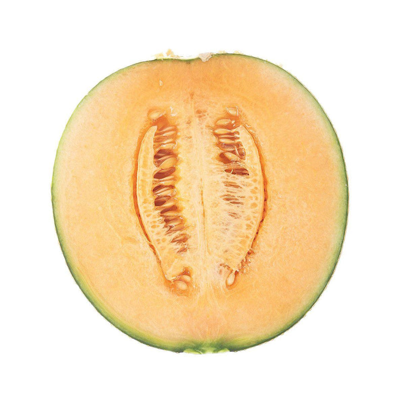 Japan Hokkaido Yubari Melon  (1pc)