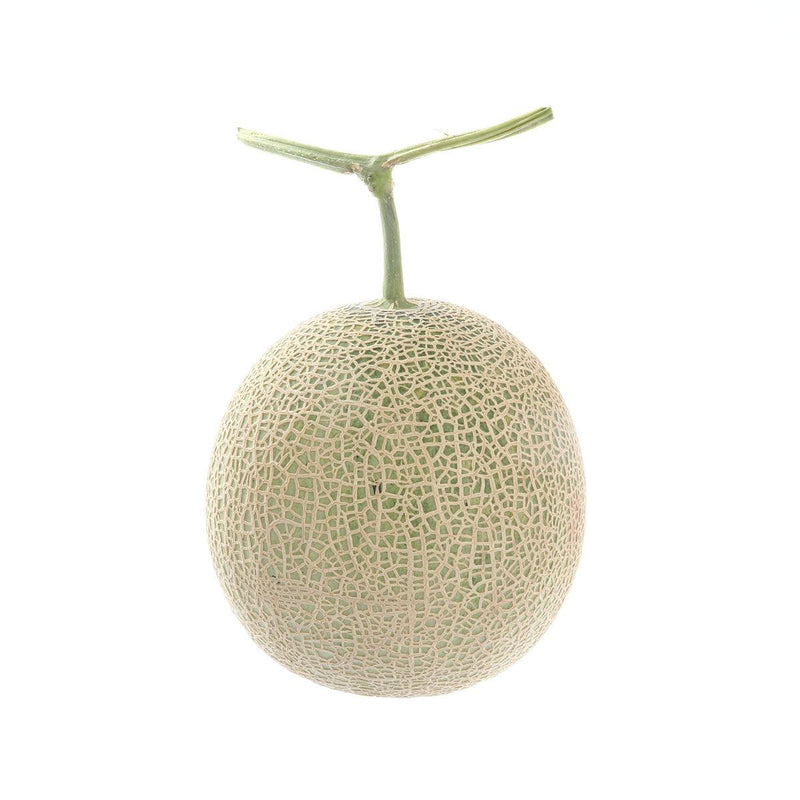 Japan Hokkaido Yubari Melon  (1pc)