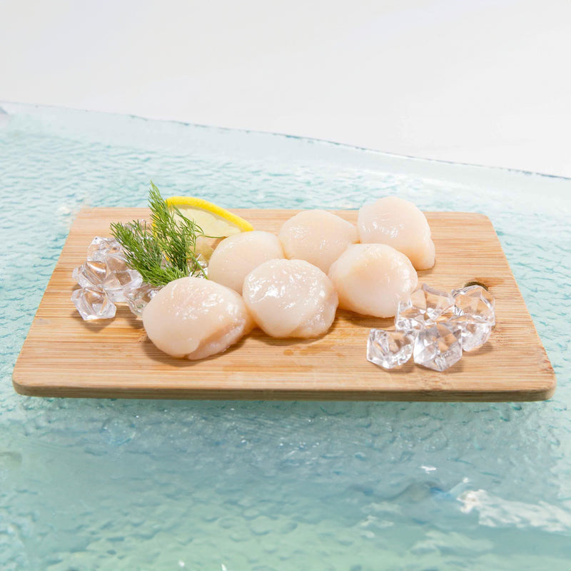 USA Massachusetts Scallop Meat  (100g)