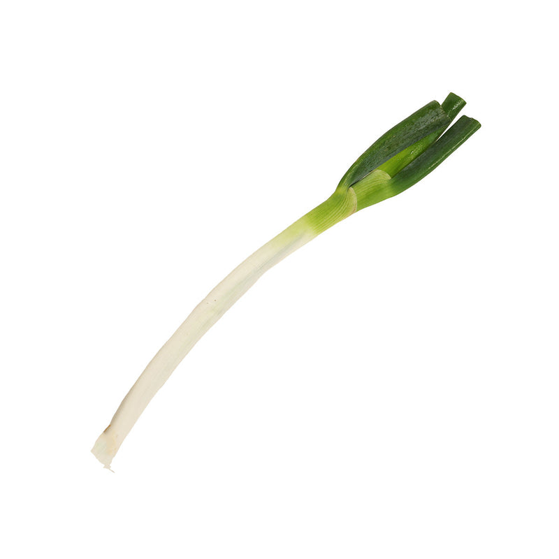 Japan Nakai Farm White Leek  (600g)