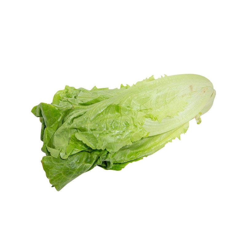 ASIAN FARMERS Chinese Lettuce  (500g)