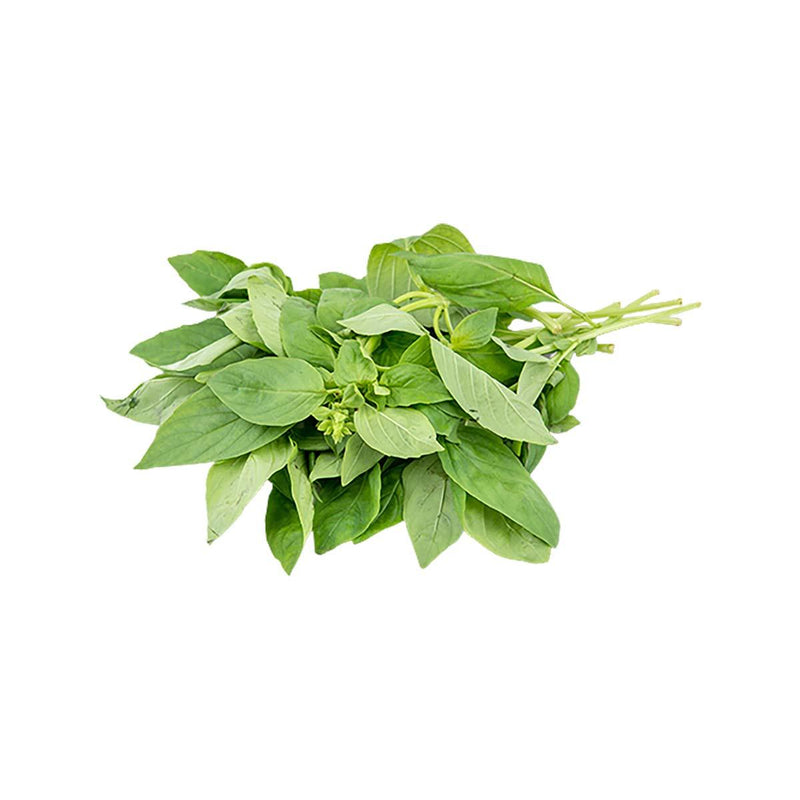 Israeli Basil  (1pack)