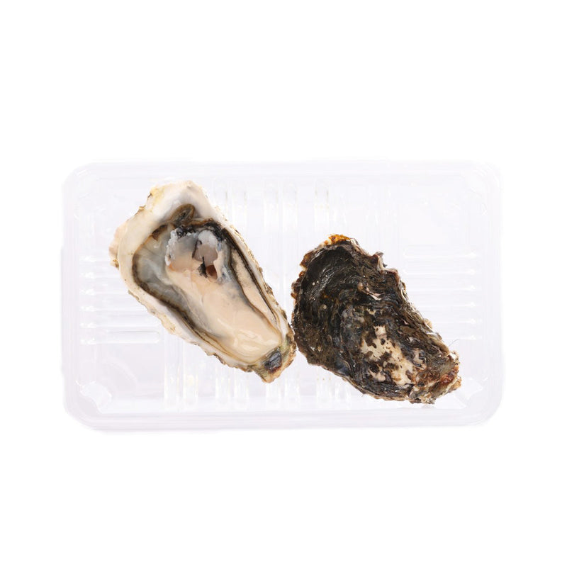 KANEYOKOSHINO Japan Hokkaido Akkeshi Miemaru Oyster N.2  (1pc)