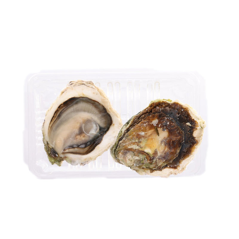 Japan Nagasaki Goto Island Rock Oyster - S  (1pc)